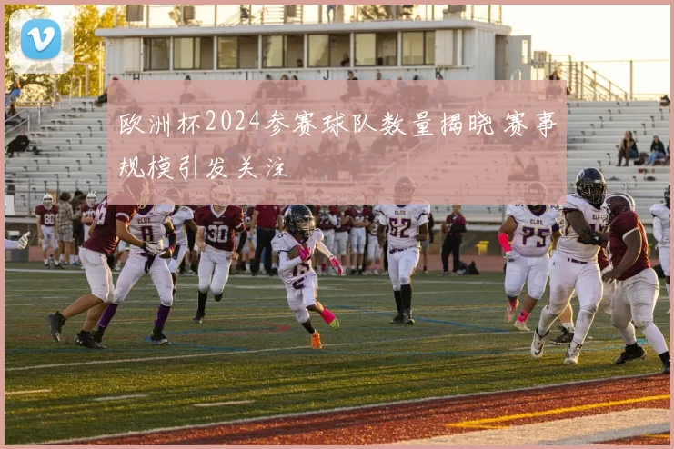 欧洲杯2024参赛球队数量揭晓 赛事规模引发关注