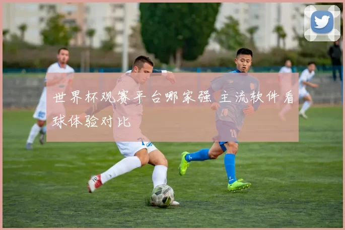 世界杯观赛平台哪家强 主流软件看球体验对比