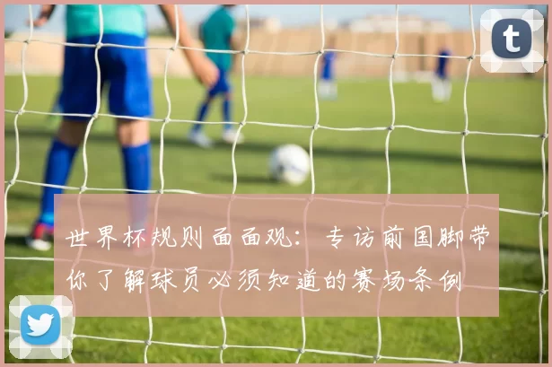 世界杯规则面面观:专访前国脚带你了解球员必须知道的赛场条例