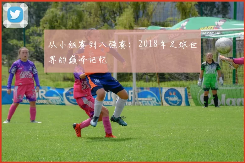 从小组赛到八强赛:2018年足球世界的巅峰记忆