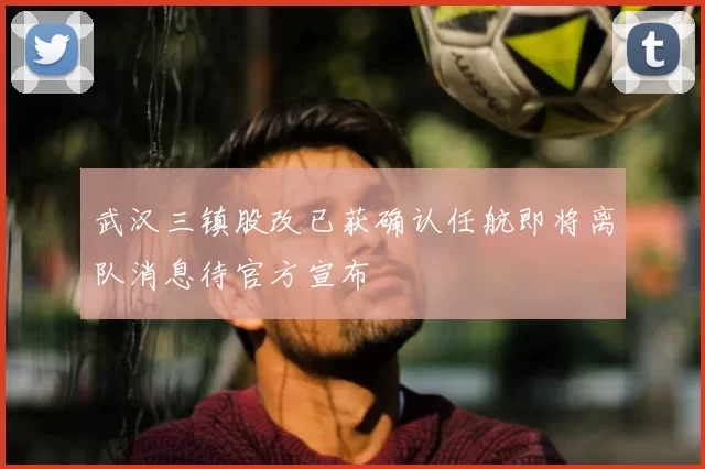 武汉三镇股改已获确认任航即将离队消息待官方宣布