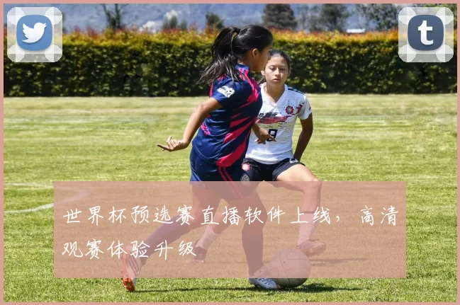 世界杯预选赛直播软件上线,高清观赛体验升级