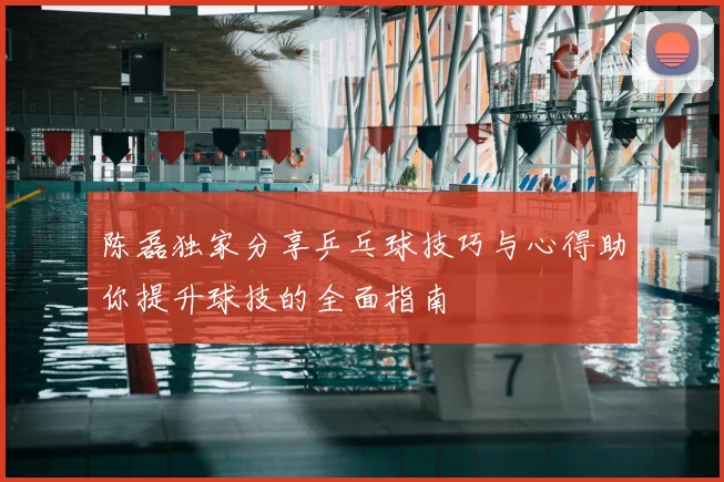 陈磊独家分享乒乓球技巧与心得助你提升球技的全面指南