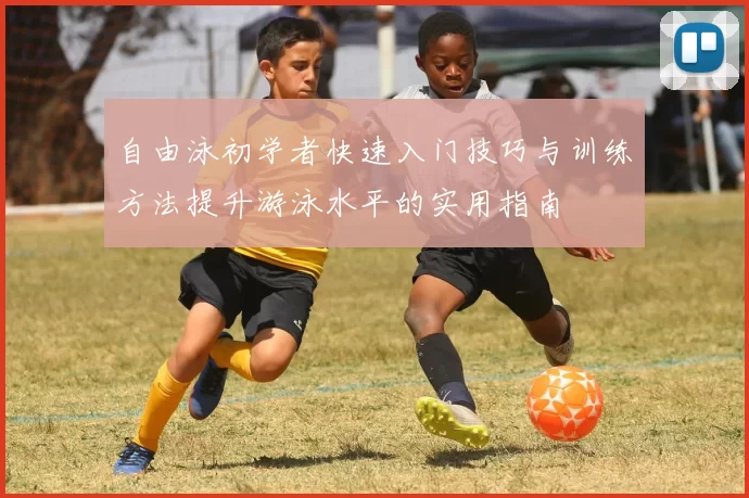 自由泳初学者快速入门技巧与训练方法提升游泳水平的实用指南