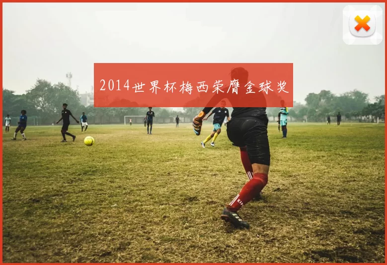 2014世界杯梅西荣膺金球奖