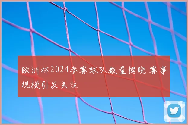 欧洲杯2024参赛球队数量揭晓 赛事规模引发关注