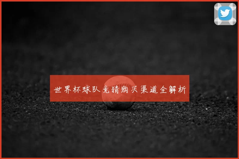世界杯球队竞猜购买渠道全解析