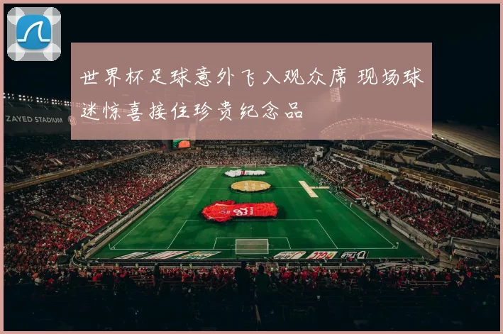 世界杯足球意外飞入观众席 现场球迷惊喜接住珍贵纪念品