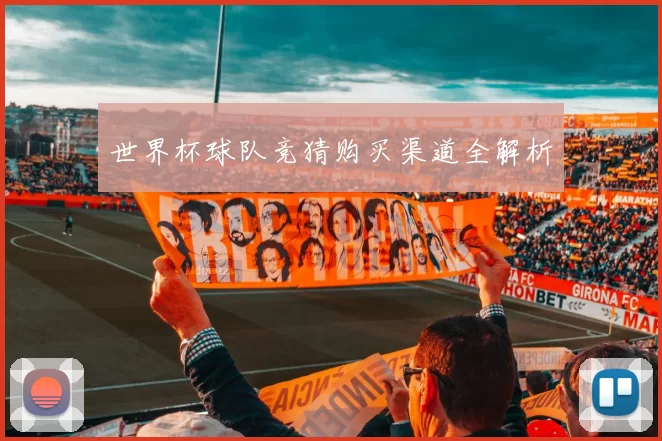 世界杯球队竞猜购买渠道全解析