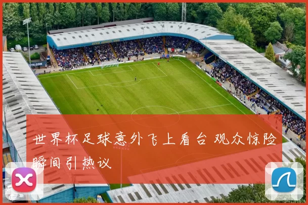 世界杯足球意外飞上看台 观众惊险瞬间引热议